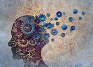 Brain